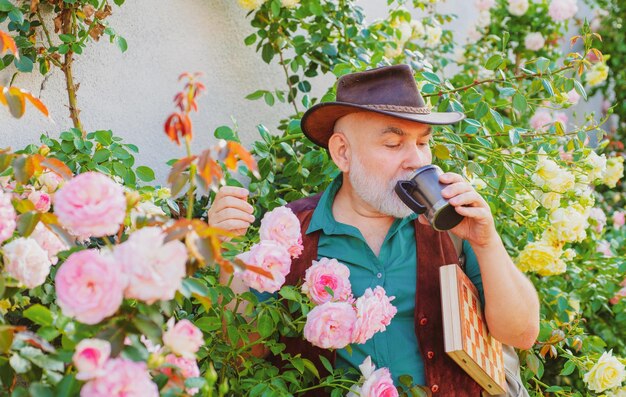 Homem sênior no jardim de rosas bebe chá café jardineiros com flores da primavera