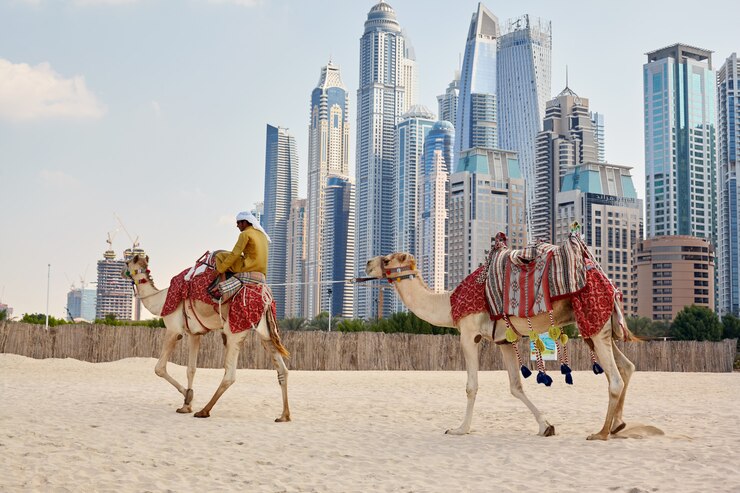 homem senta-se em um camelo na praia em dubai