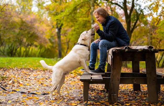 Homem senta-se no parque em um banco Labrador cão fica perto do dono no parque Belo fundo dourado de outono