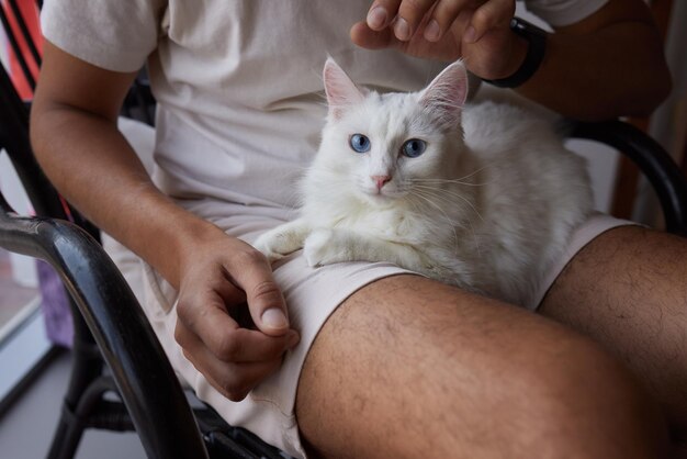 Foto homem sentado em uma poltrona segurando seu lindo gato de estimação