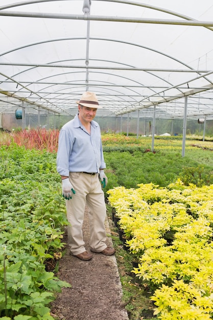 Homem sorrindo em casa de vegetação