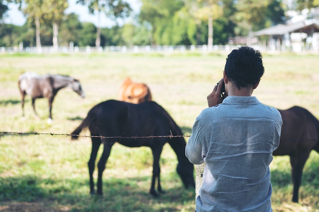 Homem tirando uma foto de cavalos