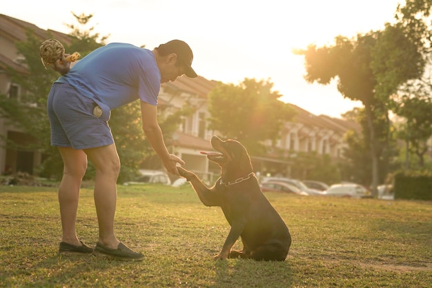 Homem toca a pata do cão na mão, agitando o gesto