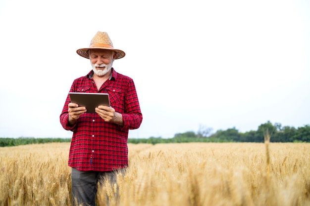 Homem usando aplicativo de agricultura inteligente em tablet digital, gerenciando a produção e o crescimento das culturas