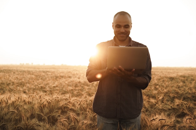 Foto homem usando laptop em pé no campo de trigo ao pôr do sol