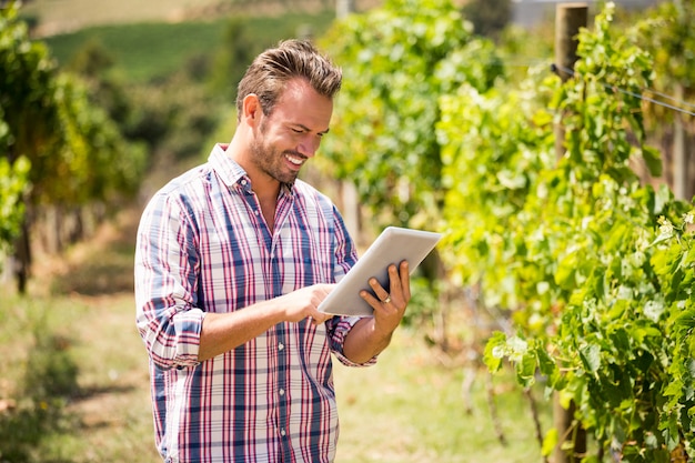 Homem usando tablet digital em vinhedo