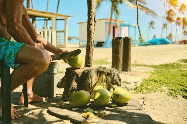 Homem velho vendendo coco na fazenda de coco a caminho de Tucacas Falcon Venezuela