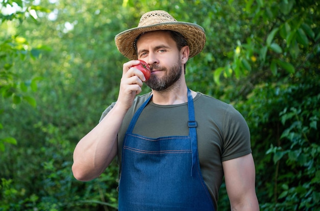 Homem verdureiro com chapéu de palha cheira tomate vegetal