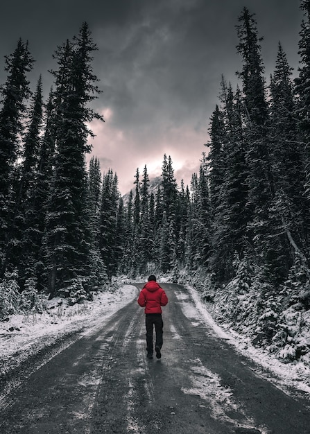 Homem viajante caminhando em uma estrada suja na floresta com neve coberta no Parque Nacional Yoho