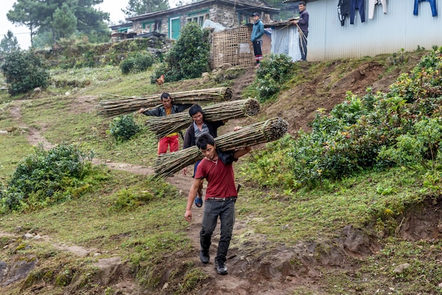 Homens nepaleses carregam quadril de bambu verde enquanto caminhava na aldeia em Khumbu, Nepal