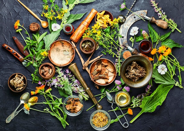 Foto homöopathische kräuter