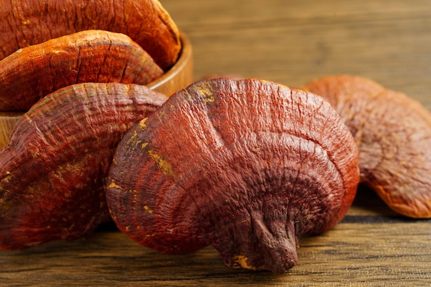 Hongo Lingzhi o Reishi con cápsulas de alimentos orgánicos naturales y saludables