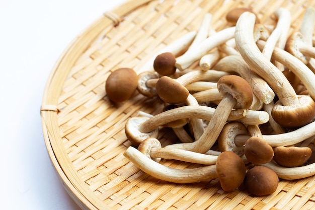 Hongo Yanagi Matsutake en plato de bambú