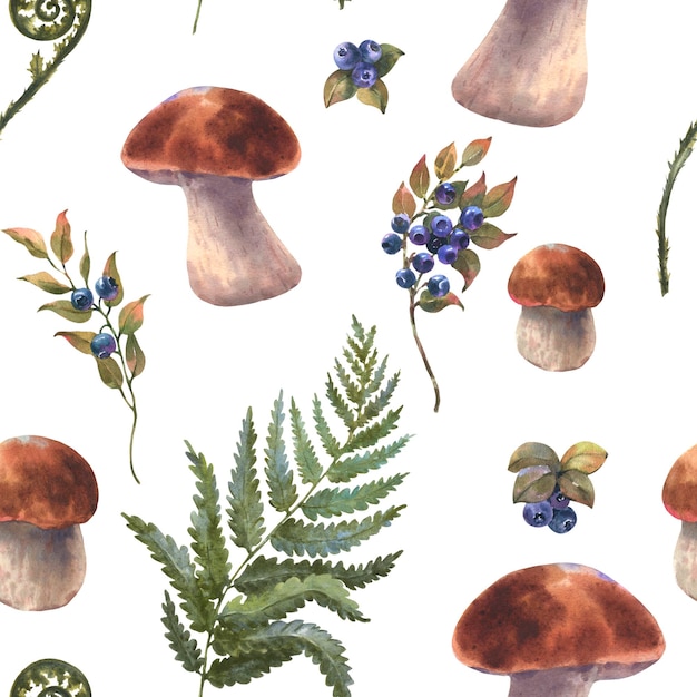 Los hongos boletus comestibles del bosque con arándanos lingonberries ramas helechos ilustración de acuarela