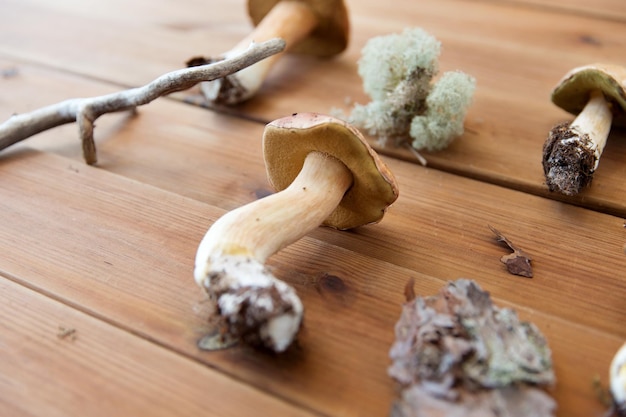 Foto hongos boletus edulis sobre un fondo de madera