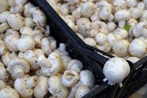 Hongos cultivados en el verdulero inflación de alimentos los precios de vegetales y hongos en el mercado son muy caros