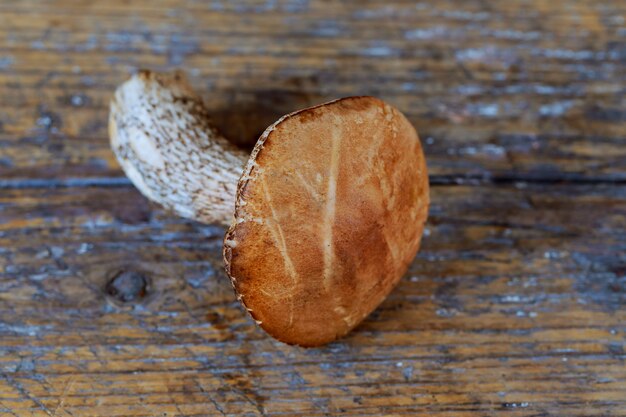 Hongos forestales comestibles en el tablero de jabalí de madera