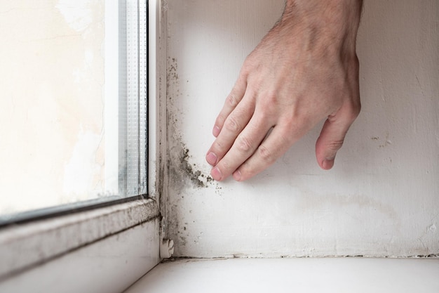 Hongos y moho en la pared y ventana dentro del apartamento El problema de la ventilación humedad frío en el apartamento