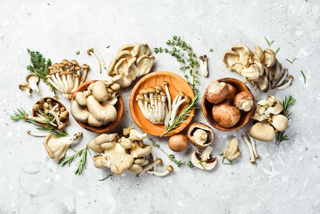 Hongos Orgánicos Saludables Hongos Maitake Champiñones y champiñones de haya marrón Sobre un fondo de piedra