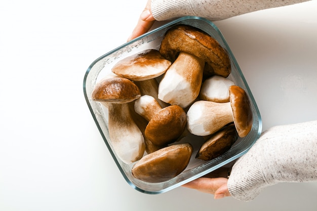 Hongos porcini grandes hermosos blancos sobre un fondo blanco en un recipiente de vidrio y manos femeninas