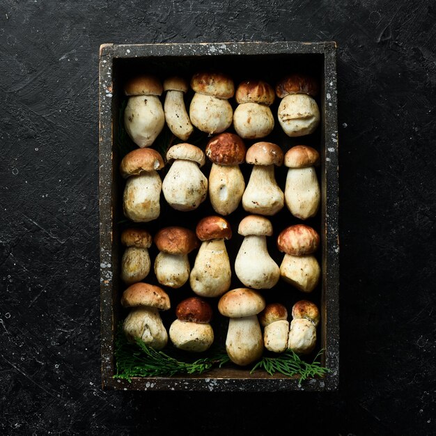 Hongos porcini orgánicos en una caja de madera Vista superior Sobre un fondo de piedra