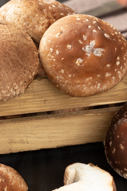 Hongos shiitake frescos en la caja.