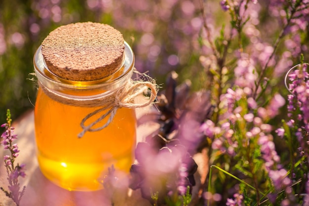 Honigglas mit natürlichem Heidehonig im Heidebusch