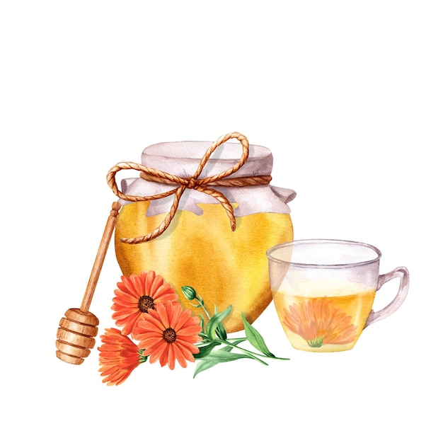 Honigglas und Glasbecher mit Calendula-Tee Aquarellillustration isoliert auf weißem Hintergrund