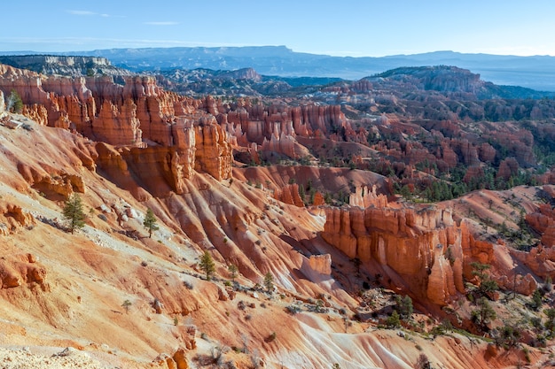 Hoodoos e pinheiros beijados pelo sol em Bryce Canyon