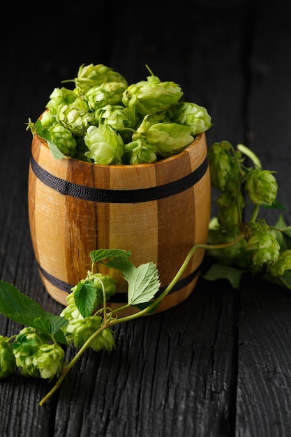 Hopfen in einem Holzfass auf einem schwarzen Holzhintergrund