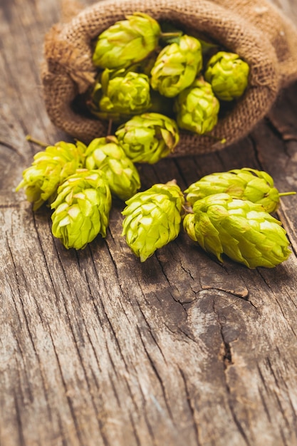 Hopfen mit grünem Blatt auf einem hölzernen Hintergrund mit Kopienraum