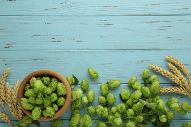 Hopfen und goldener reifer Weizenkegel auf einem alten blauen Tisch. Ansicht von oben