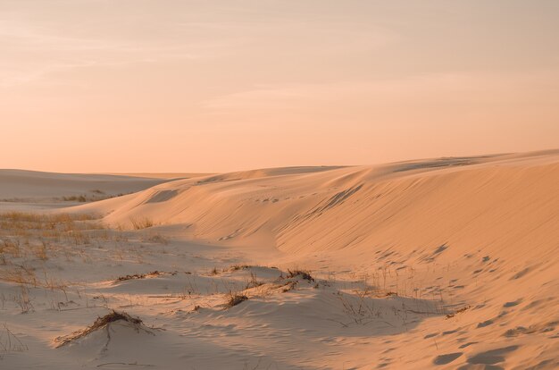 Hora dorada de dunas de arena sol dorado