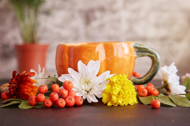 Hora del té sostenible ecológica estética con taza en forma creativa de calabaza Fondo de otoño entre bayas de serbal bellotas caléndula crisantemo sobre fondo negro