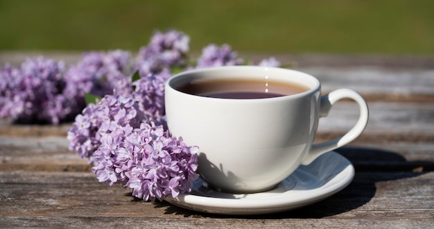 Hora del té Taza de té