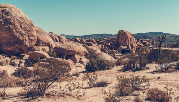 Horário de verão Joshua Tree National Park Camping