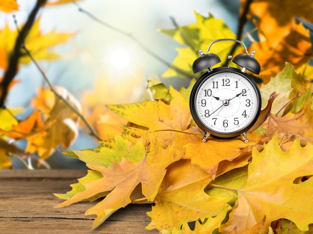 Foto horario y hojas de otoño
