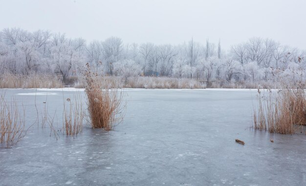 Horario de invierno en el lago del bosque