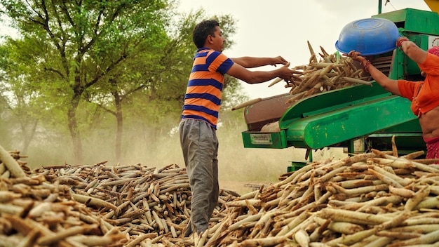 Horario de verano Industriosa familia campesina india trabajando en una tierra de cultivo con John tractor y trilladora de forraje