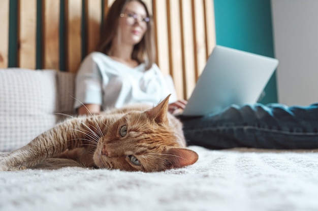 Horas flexibles y trabajo remoto, gato doméstico yace en la cama, mujer usando laptop para trabajar, acostado en el dormitorio, en casa