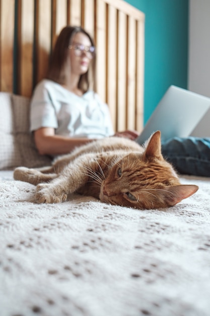 Horas flexibles y trabajo remoto, gato doméstico yace en la cama, mujer usando laptop para trabajar, acostado en el dormitorio, en casa