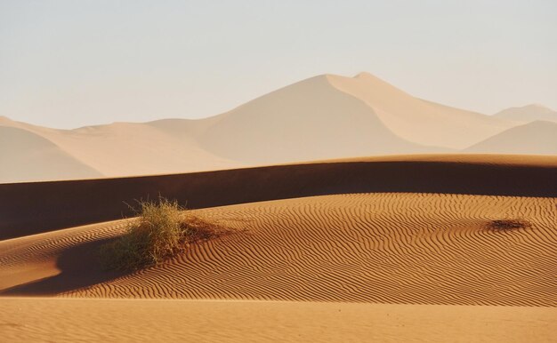 Horizont ist weit entfernt Majestätischer Blick auf erstaunliche Landschaften in der afrikanischen Wüste