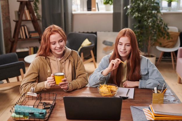 Horizontale, hochwinkelige Aufnahme moderner junger Zwillingsschwestern, die Zeit miteinander verbringen, zu Hause Serien online auf dem Laptop ansehen und Chips essen