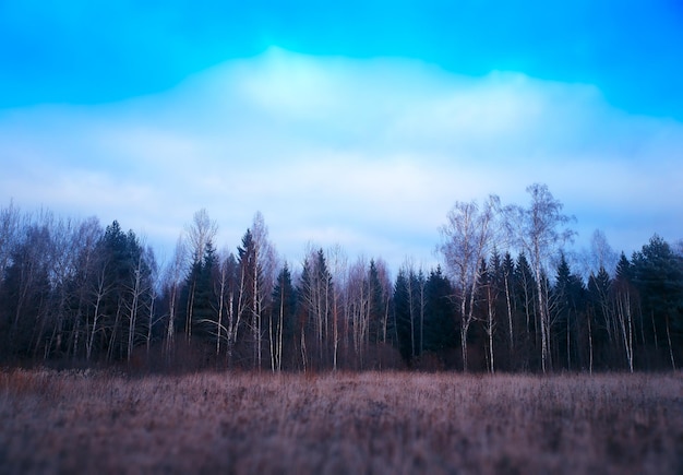 Horizontaler Landschaftshintergrund hd