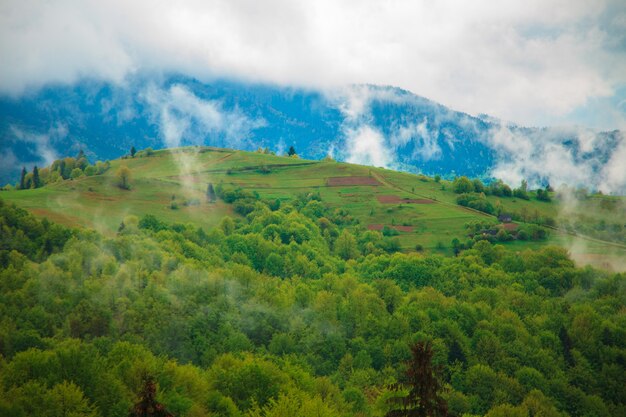 Horizontales Foto der Berglandschaft mit Wolken, die durch die Bäume schweben