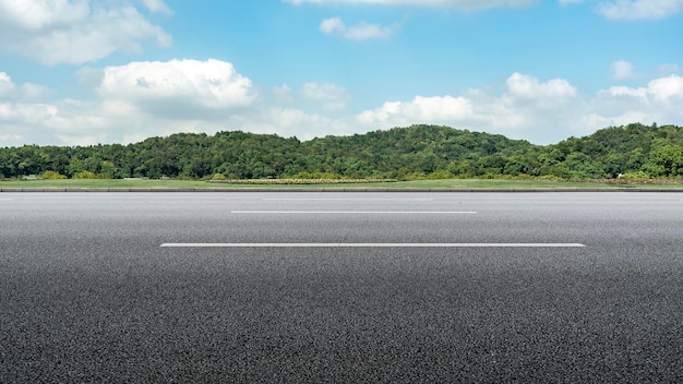 Foto horizonte de la carretera del bosque al aire libre