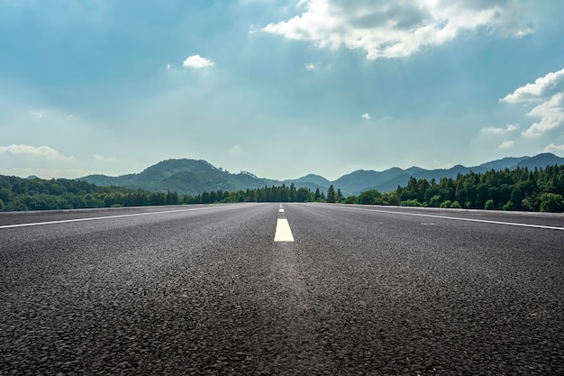 Horizonte de la carretera del bosque al aire libre