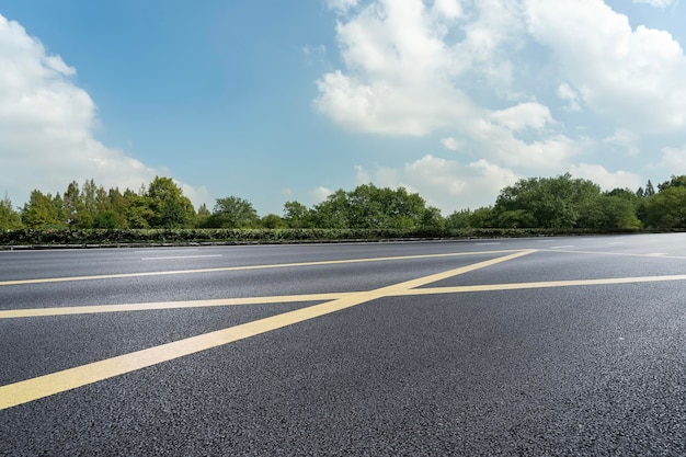 Horizonte de la carretera del bosque al aire libre