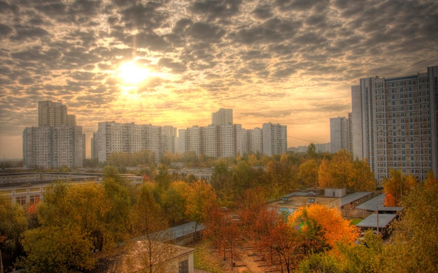 Foto un horizonte de la ciudad con muchos edificios y árboles