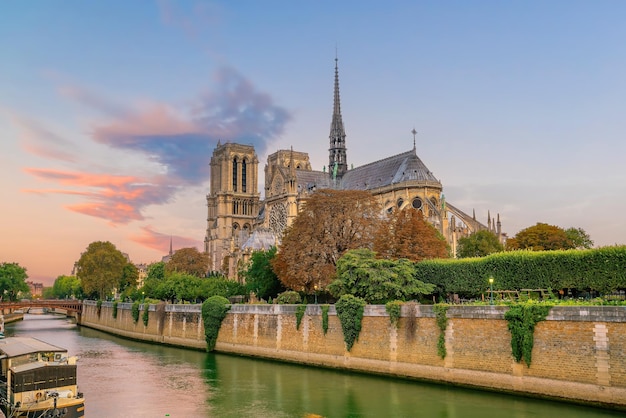 Horizonte de la ciudad de París con el paisaje urbano de la cátedra de Notre Dame de París de Francia